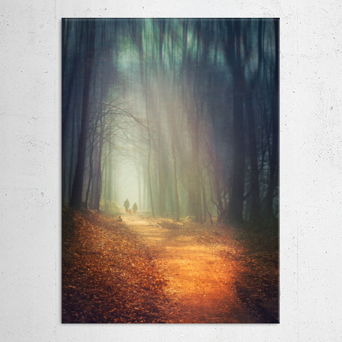 Forest in early morning light... by Dirk Wüstenhagen | Displate