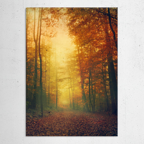 Walking through a misty forest... by Dirk Wüstenhagen | Displate