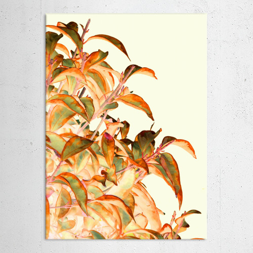 Foliage orange by aRT sKRATCHES | Displate