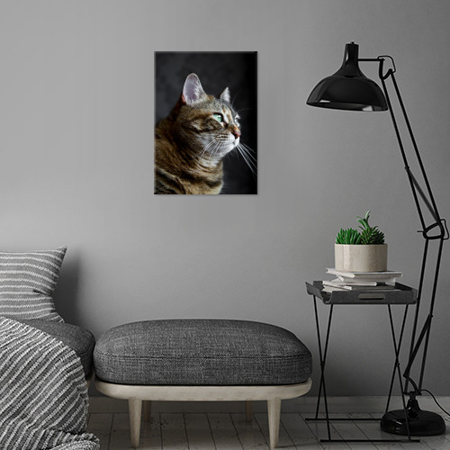 Cat portrait by Vanessa GF | Displate