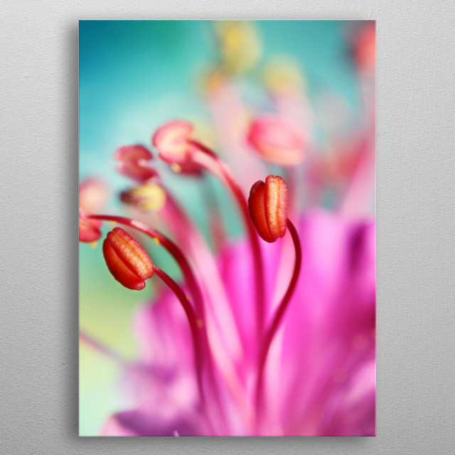 Geranium Candy Abstract Poster Print 