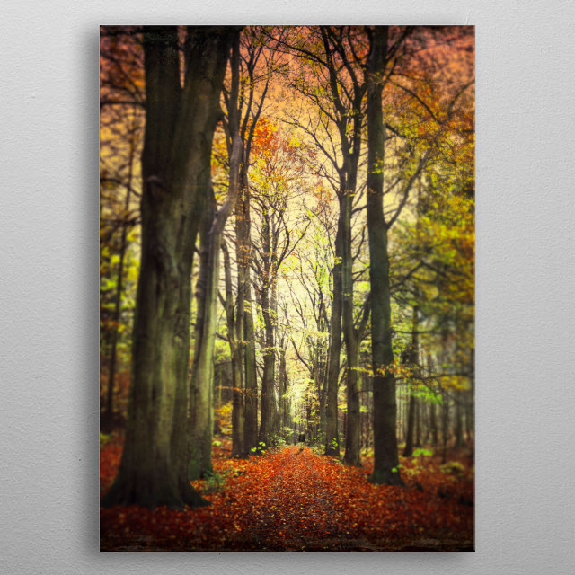 Alley with beech trees on a ra... Landscapes Poster Print | metal ...