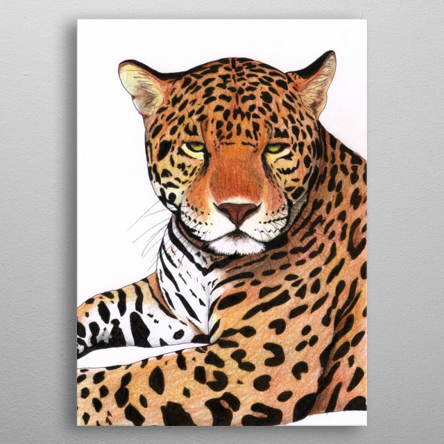 Jaguar | Drawing realized with... Animals Poster Print | metal posters