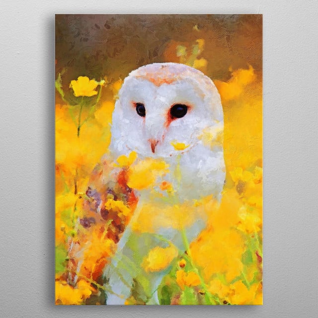 Owl Animals Poster Print Metal Posters Displate