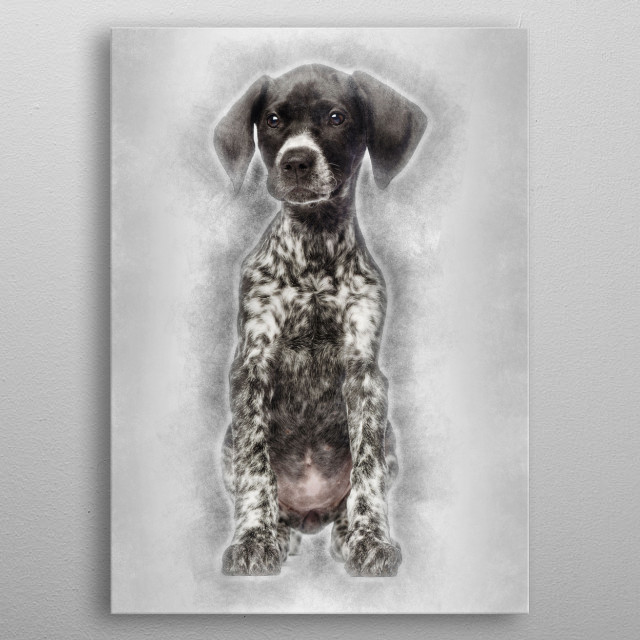 German Shorthaired Pointer Animals Poster Print Metal Posters