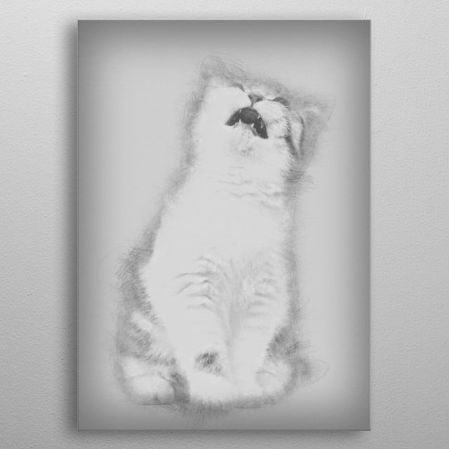 British Shorthair Kitten 3 Animals Poster Print Metal Posters