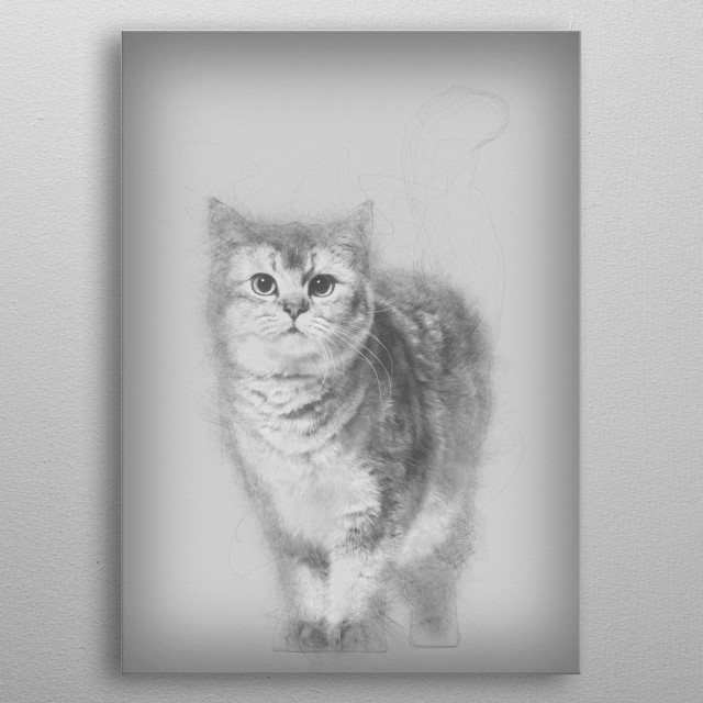 British Shorthair Cat Agai Animals Poster Print Metal Posters