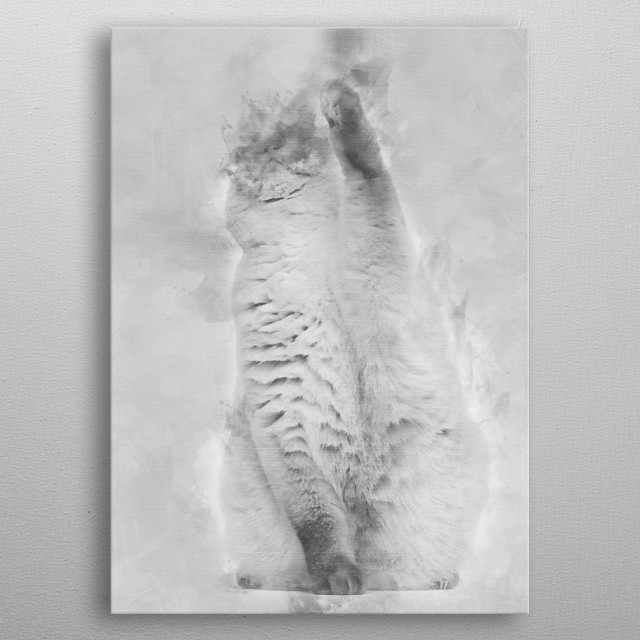 Fat British Shorthair 25 Animals Poster Print Metal Posters