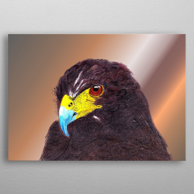 Eagle In Colour Pencil Animals Poster Print Metal Posters