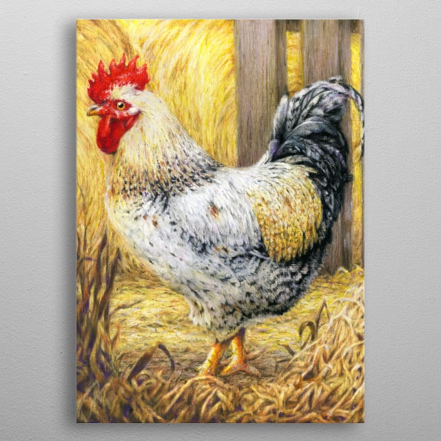 The Barn Rooster Nature Poster Print Metal Posters Displate