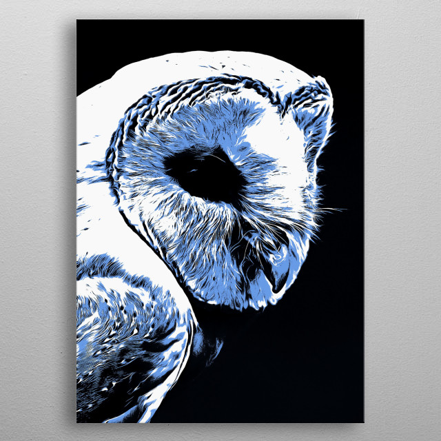 Barn Owl Animals Poster Print Metal Posters Displate