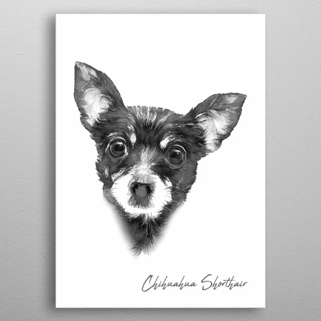 Chihuahua Shorthair Dog Animals Poster Print Metal Posters