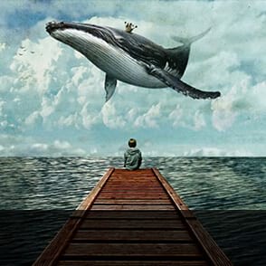 browse by bestseller